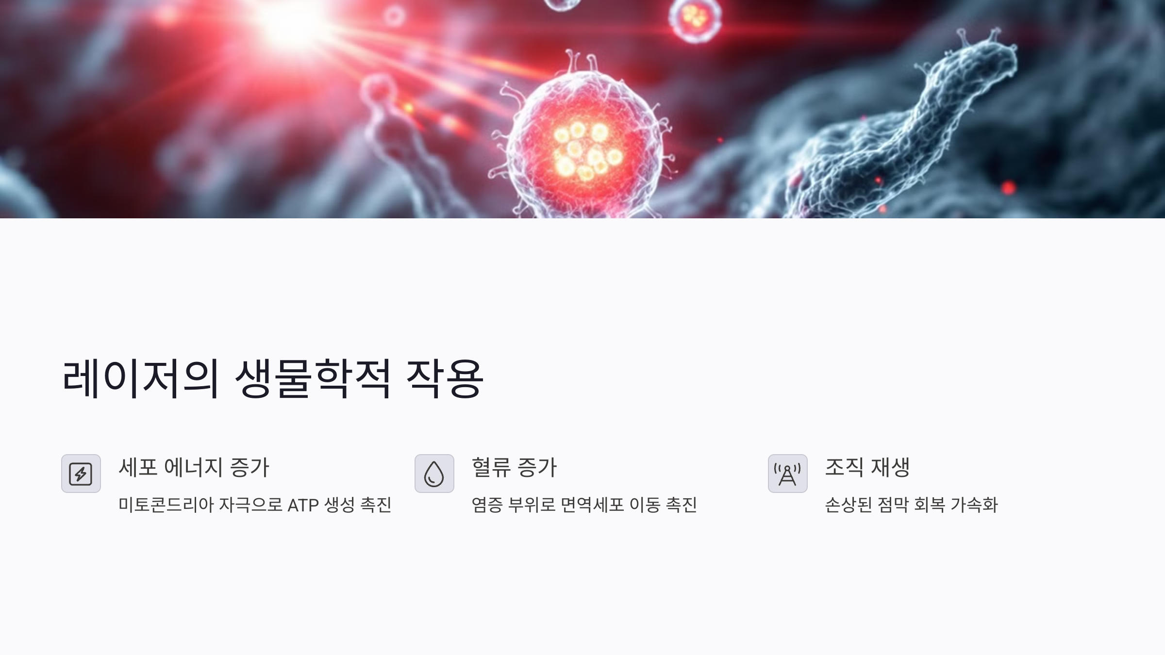 구내염 레이저치료가 조직에 미치는 과학적 작용