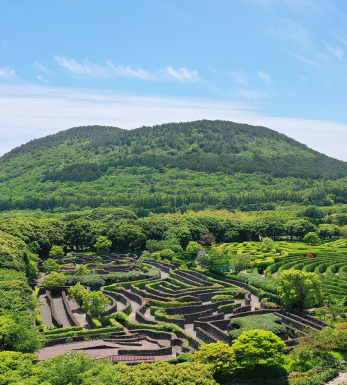 제주투어패스 구매&#44; 예약&#44; 사용방법