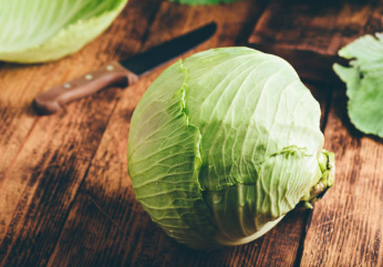 양배추