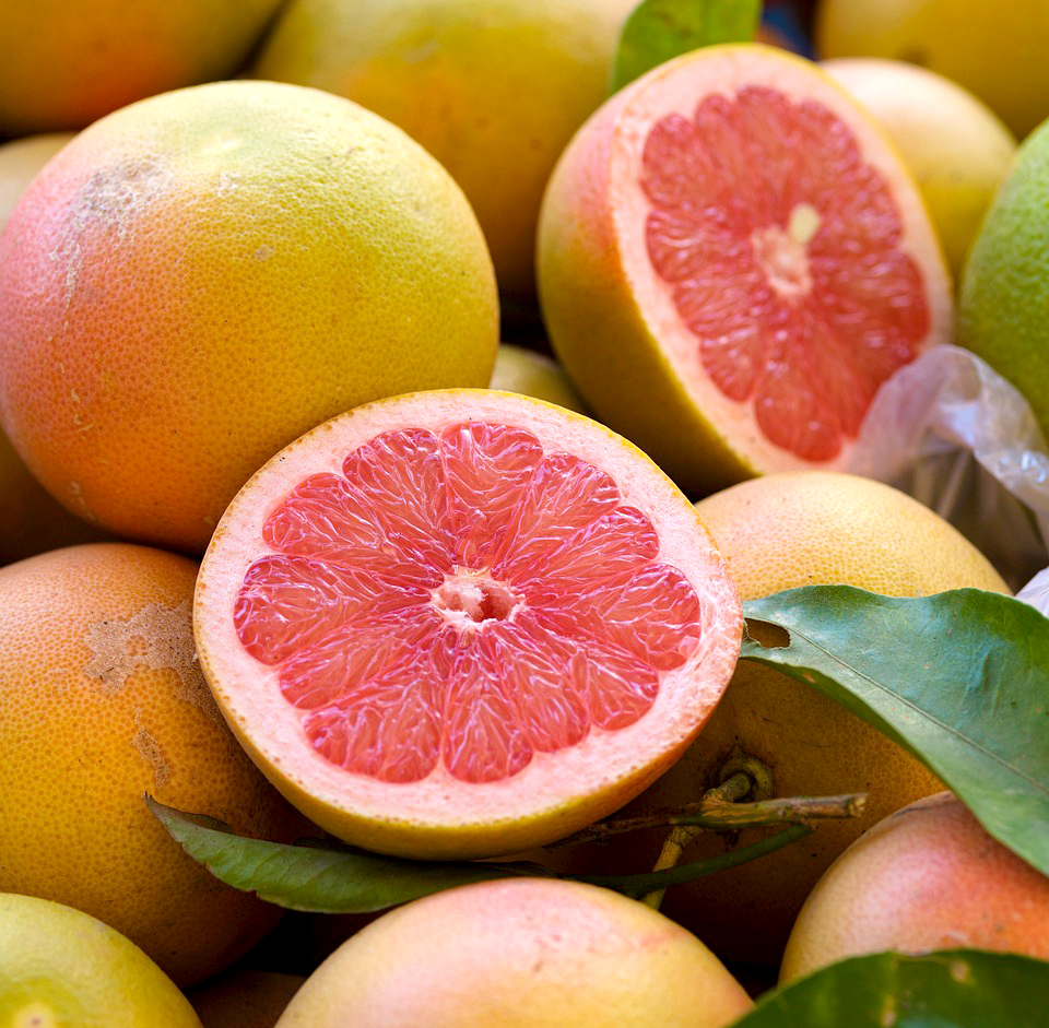 농업경영체 등록확인서 발급