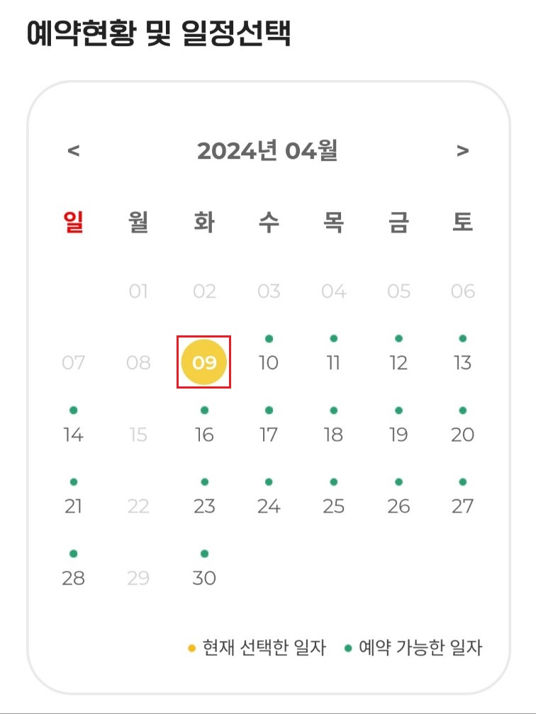 날짜 선택