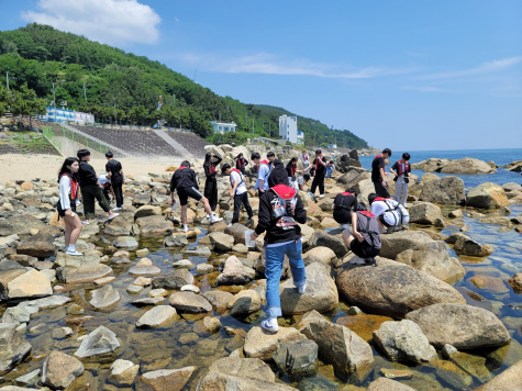 해양생태계 체험활동(국립청소년해양센터)