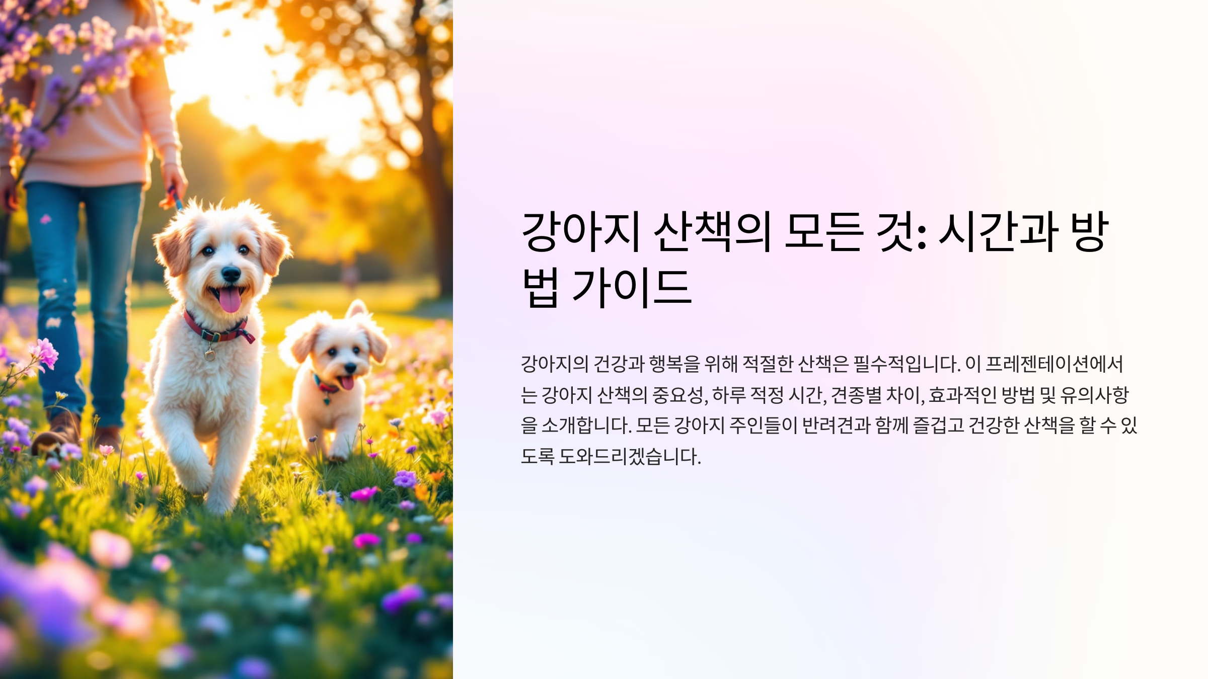 강아지 산책 시간 추천, 하루 적정 시간과 효과적인 방법