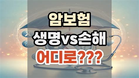 손해보험가입