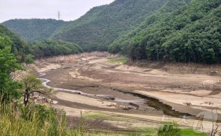 강릉 가뭄 원인