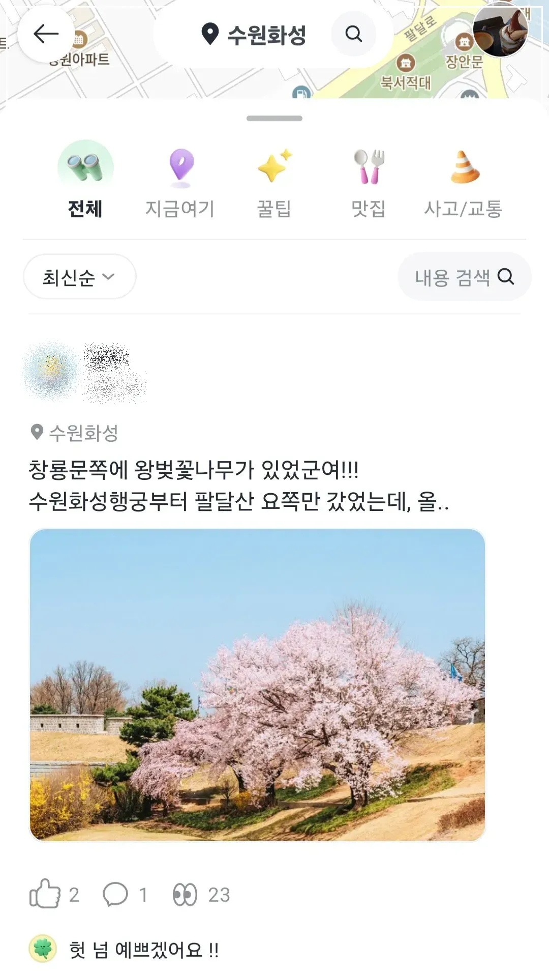 카카오티-수원화성-벚꽃명소