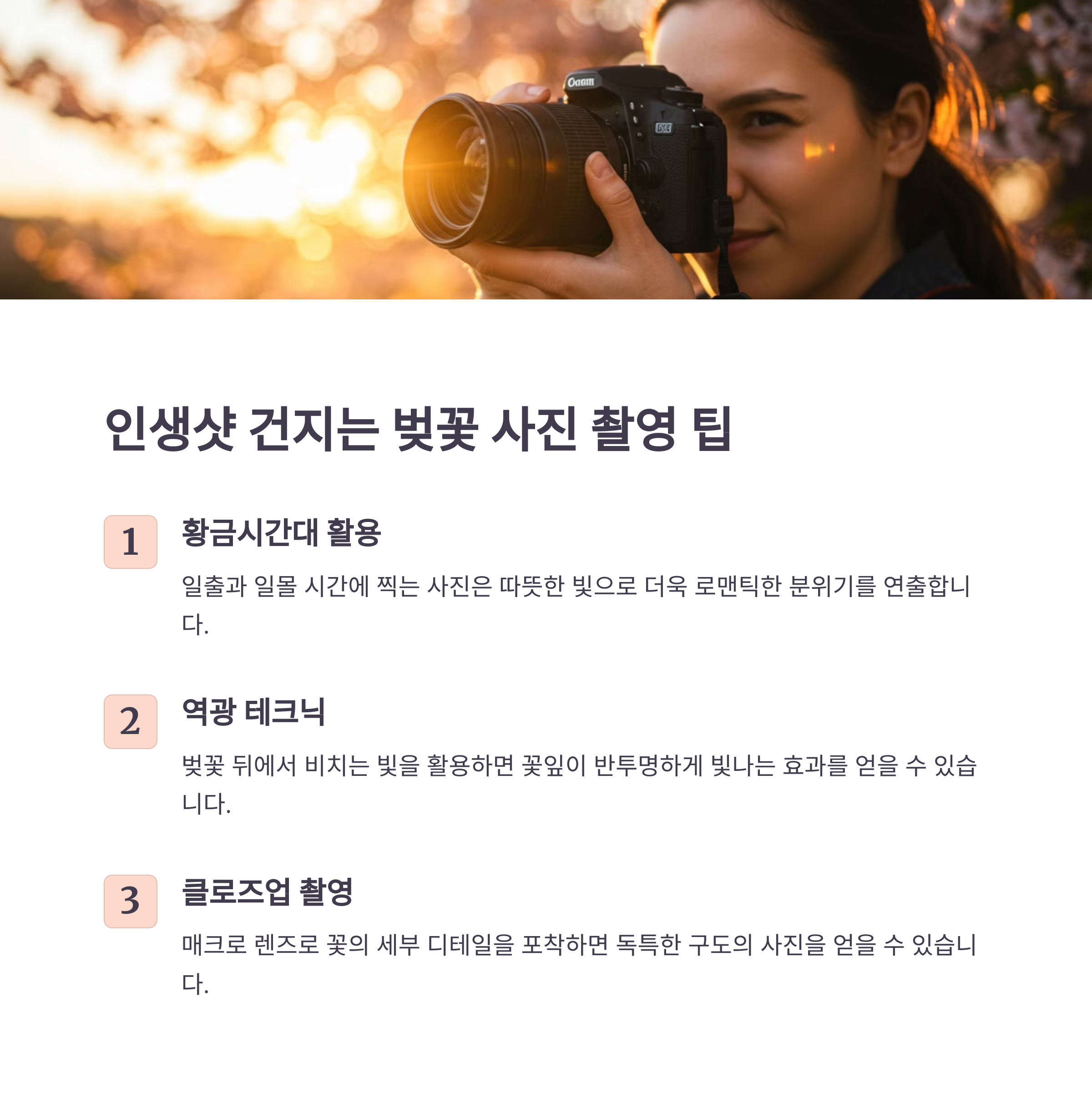벚꽃 촬영 꿀팁