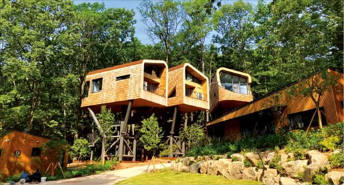 서울 자연휴양림 '수락휴' 트리하우스, 예약 방법과 숙박 형태, 가격 정보, 이용 방법 완전정복