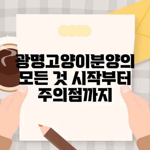 광명고양이분양의 모든 것 시작부터 주의점까지
