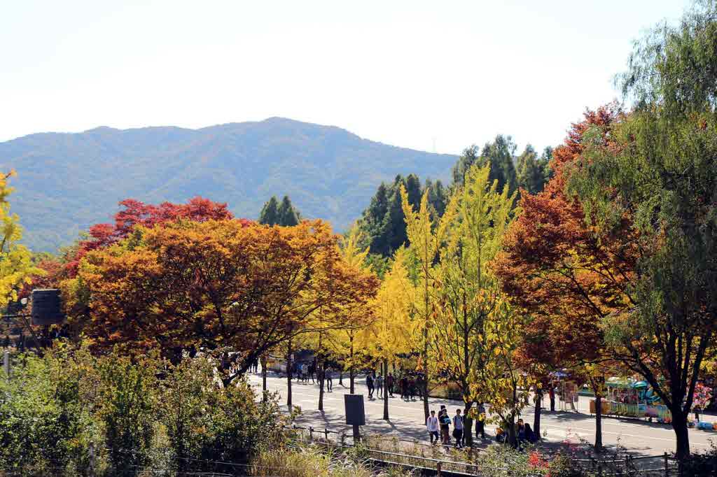토지거래허가구역 확대에도 분당&middot;과천 &lsquo;신고가 행진&rsquo;