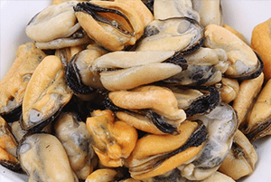 홍합의효능2
