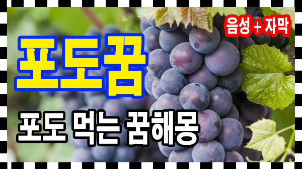 포도