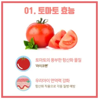 토마토 효능 항산화 작용과 피부건강 효과 정리_13