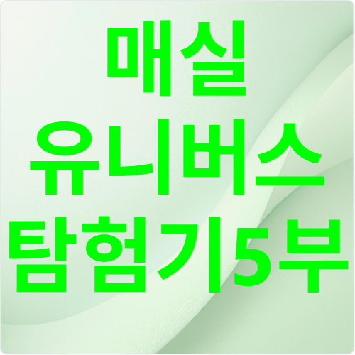 나만의 인생 매실청