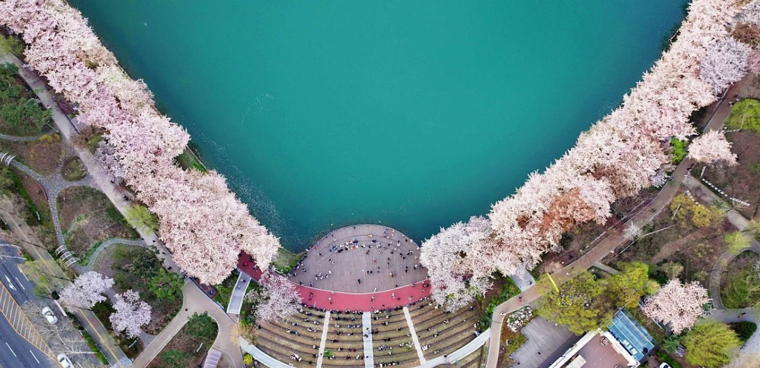 석촌호수 벚꽃축제 일정·기간