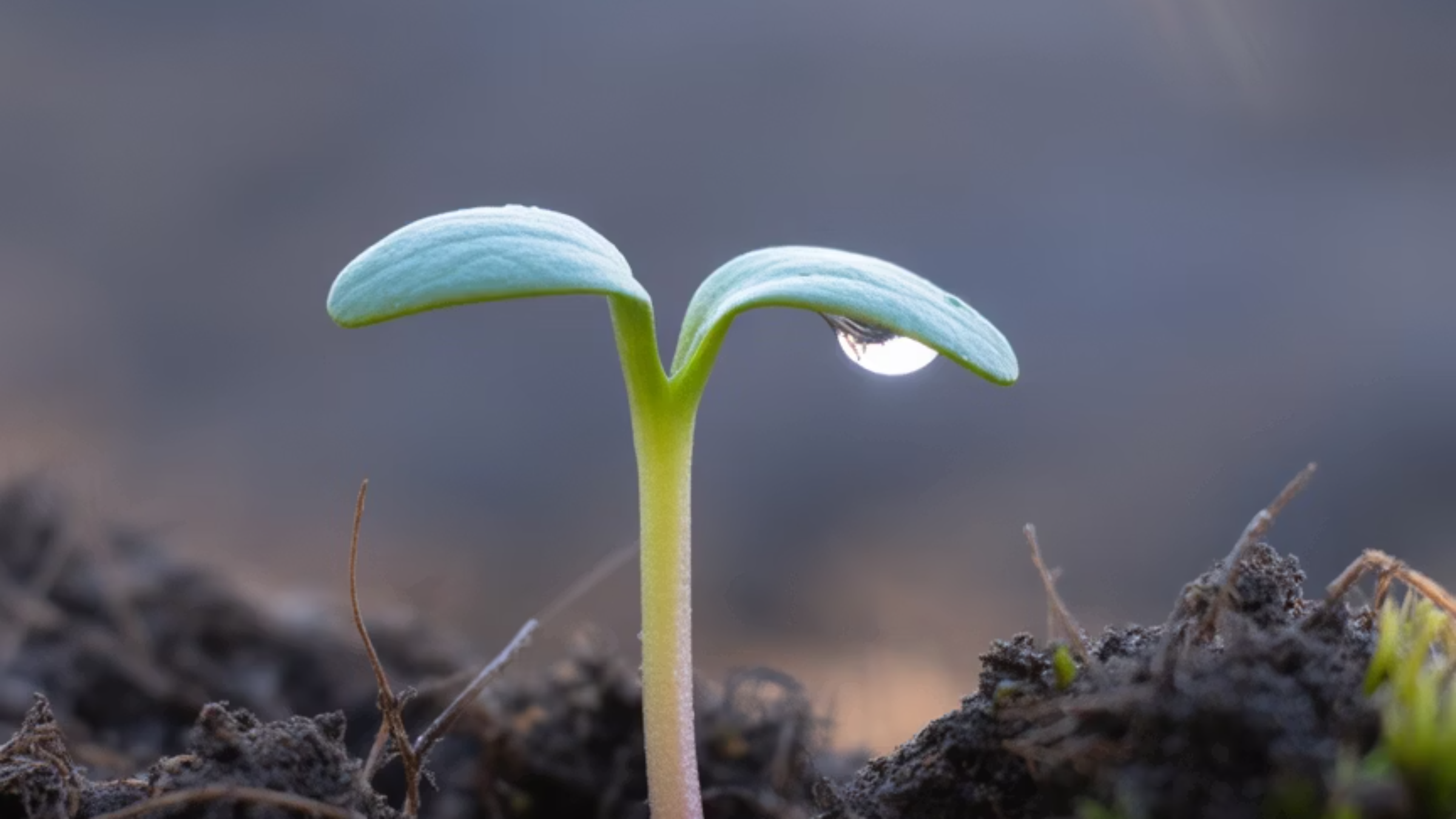 자존감의 의미와 기초 이해