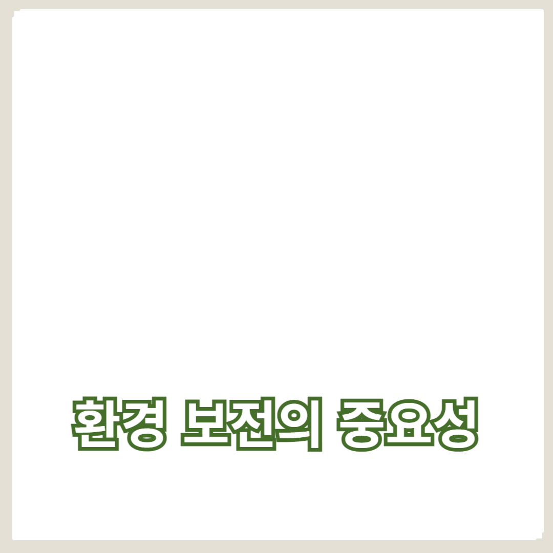 재생 가능 에너지와 지속 가능성: 환경 보전의 중요성