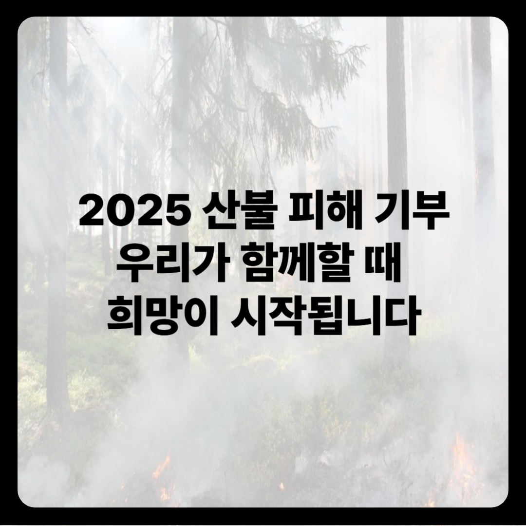 2025 산불 피해 기부, 우리가 함께할 때 희망이 시작됩니다