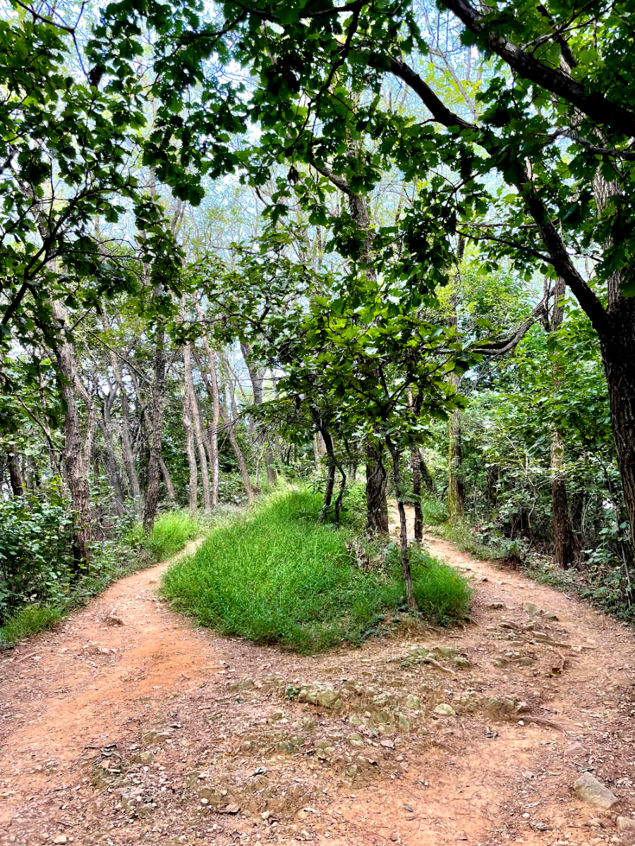 광명 구름산 가을산행 코스