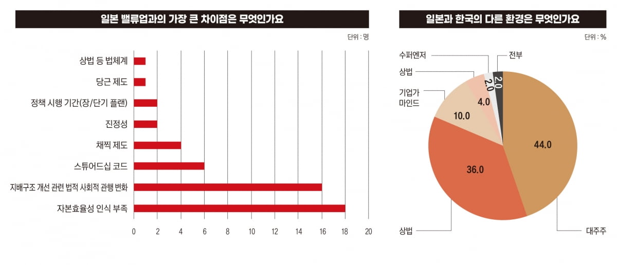 일본 밸류업과 차이점
