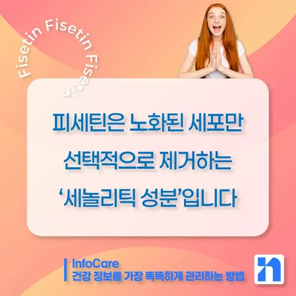 피세틴 효능 항산화 저속노화 노화방지 세놀리틱