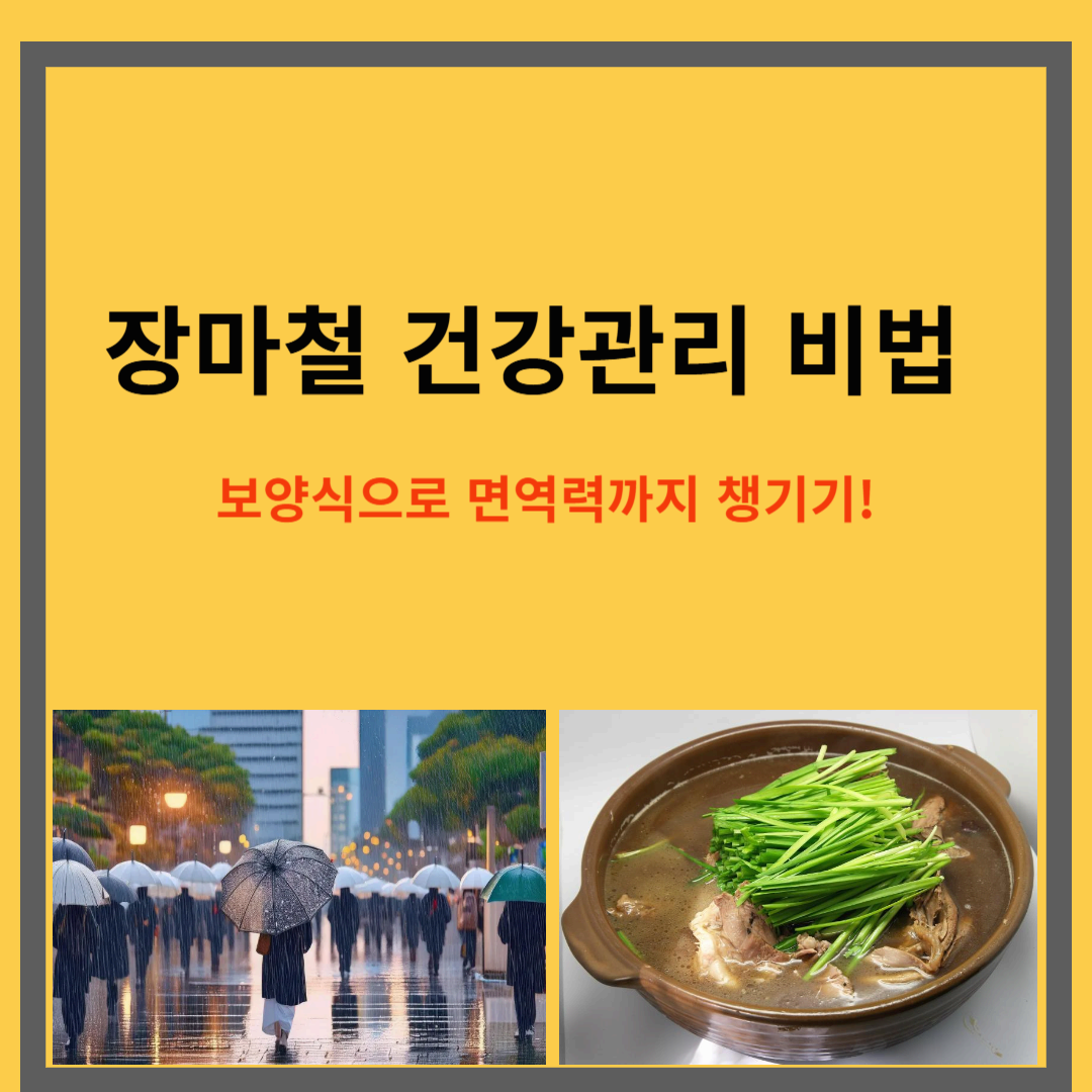 장마철 건강관리 비법 보양식으로 면역력까지 챙기자!