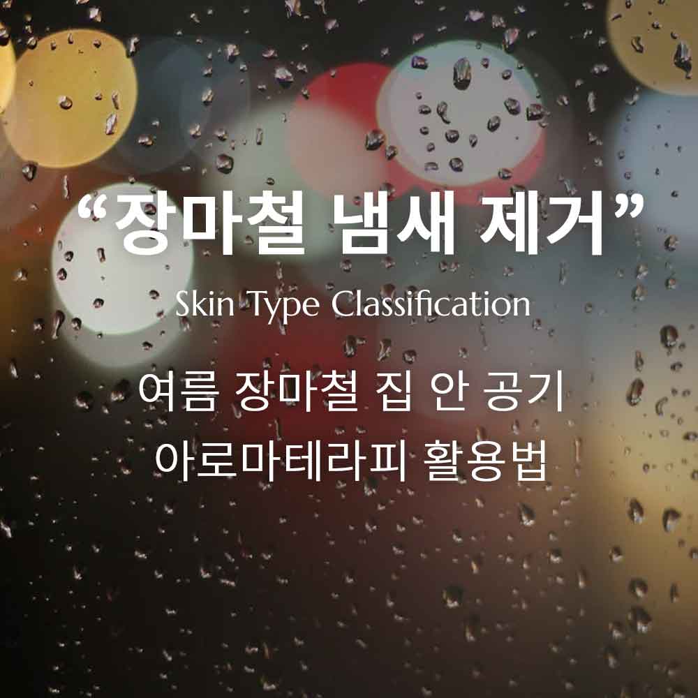 장마철에도 기분 향기가 나는 집 만들기! 꿉꿉함 대신 산뜻함을~