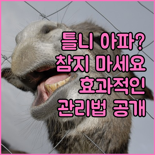 틀니 통증, 참지 마세요! 효과적인 