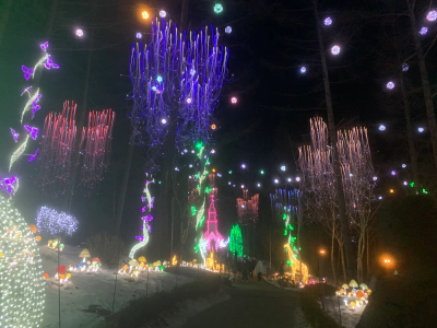 가평 아침고요수목원 빛축제 가족여행 후기