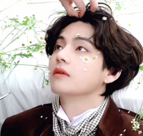 BTS 뷔 스토킹 범인 검거