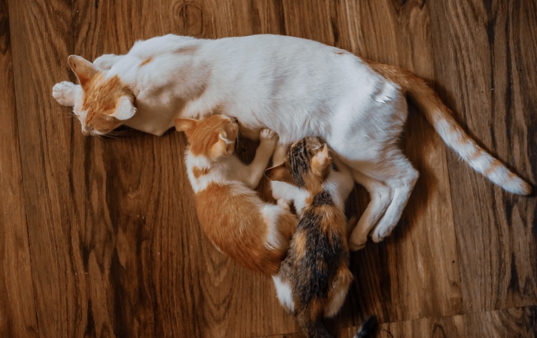 Integration