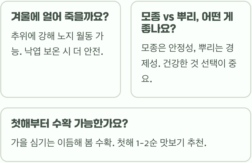 땅두릅모종, 언제 심어야 가장 잘 자랄까? (식재 시기)
