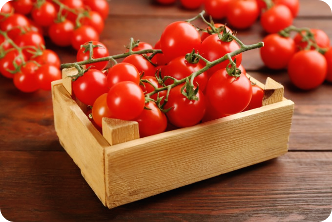 갑상선-기능-저하증-증상