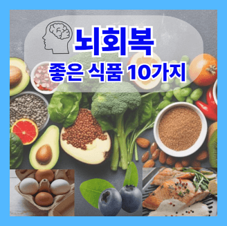 뇌회복에 좋은 영양소 많은 식품 10가지
