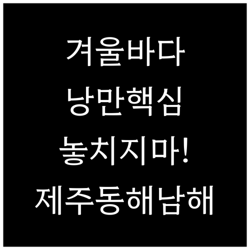 겨울바다 낭만 여행 동해 남해 제주 ..