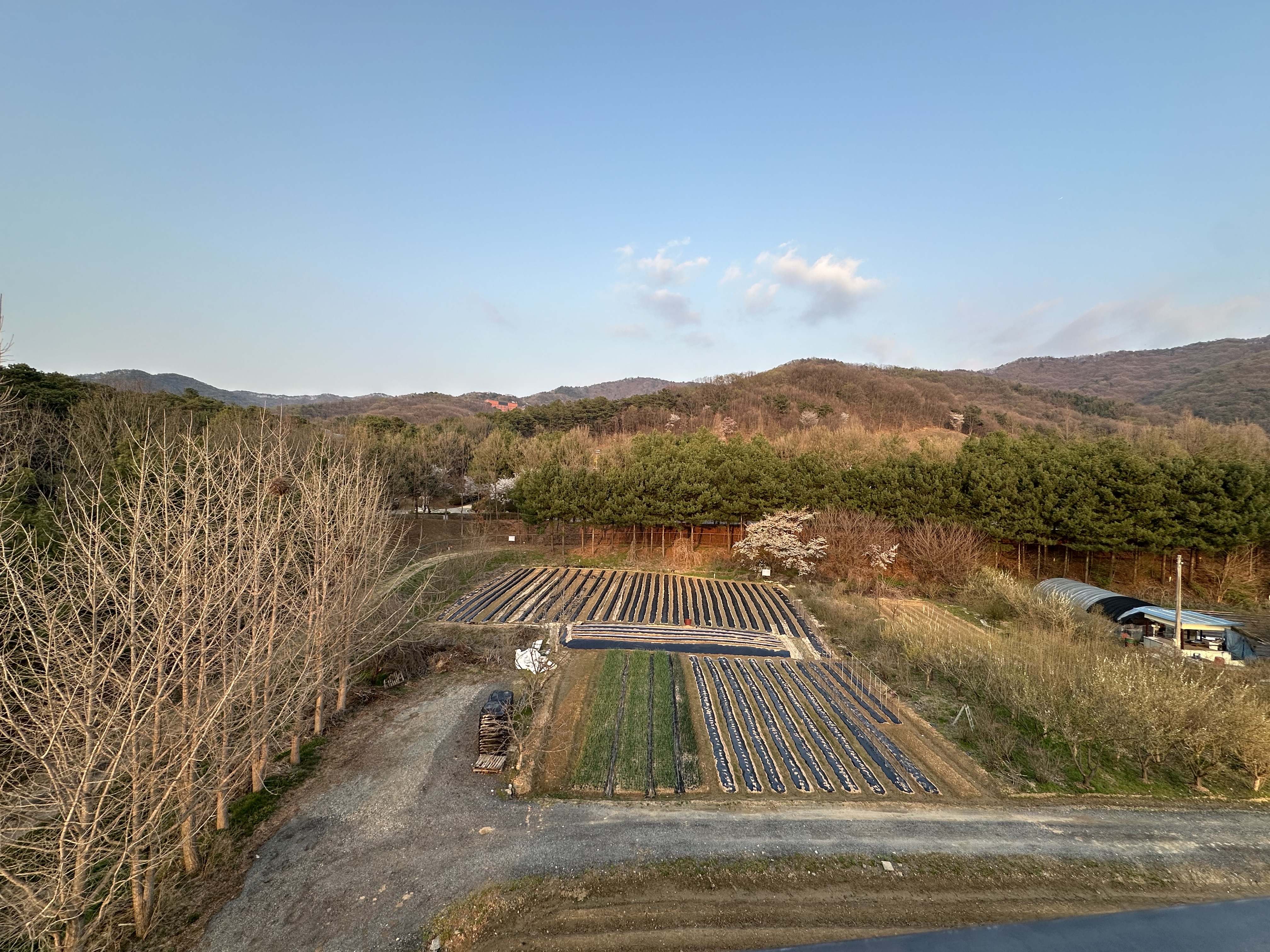 옥상-산-밭뷰