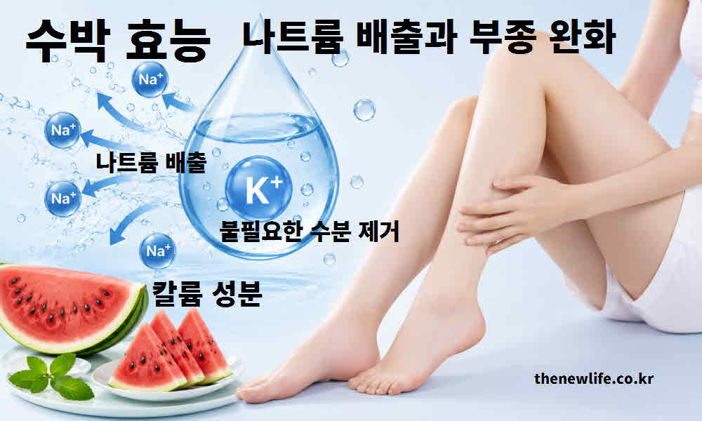 수박 효능 나트륨 배출 부종 완화
