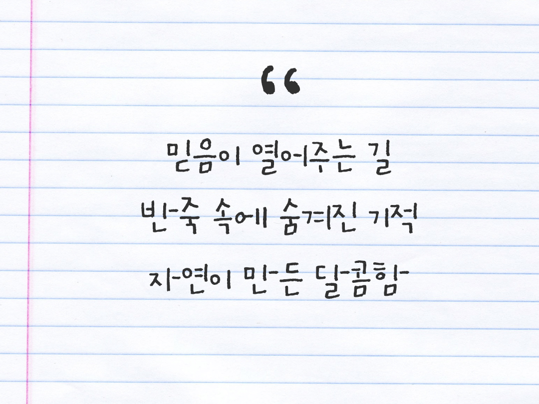 25년 12월 5일 오늘 내 마음 기록하기 감사노트, 감사를 통해 발견한 행복, 오늘 감사한 순간들 by 피어나네 감사일기