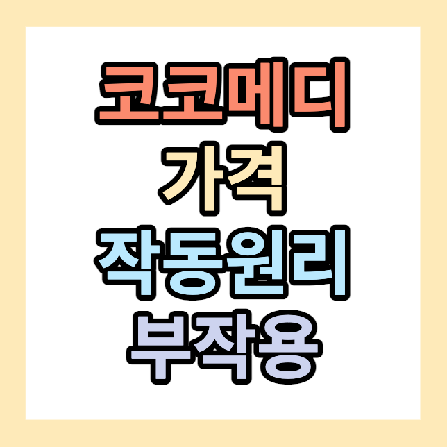 코코메디 가격 <혈액유입장애개선>