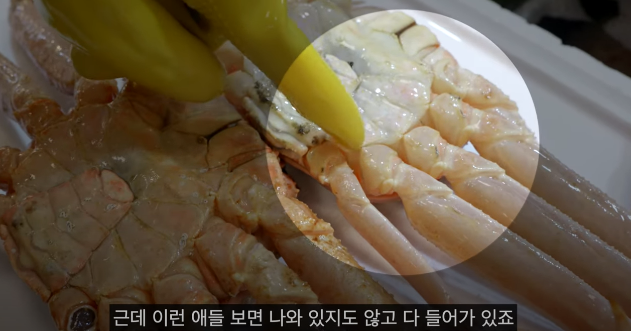 대게고르는법