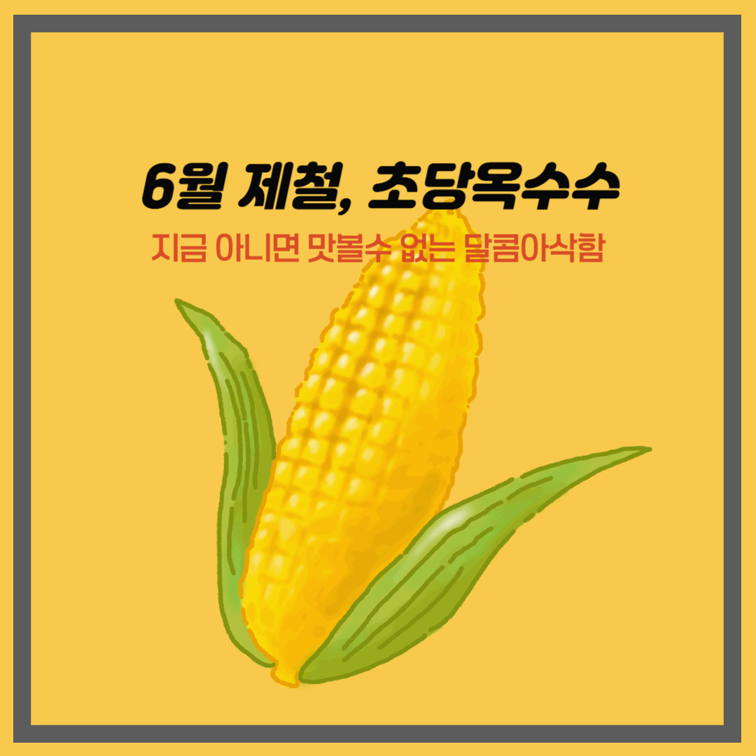 6월 제철과일, 초당옥수수｜지금 아니면 맛볼수 없는 달콤아삭함
