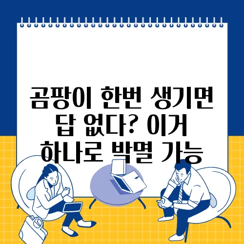 곰팡이 한번 생기면 답 없다? 이거 하나로 박멸 가능