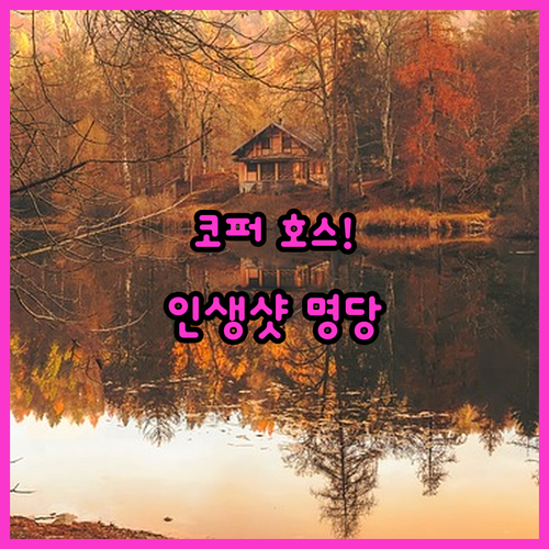 스카버러 시머 마을 코퍼 호스 코티지..