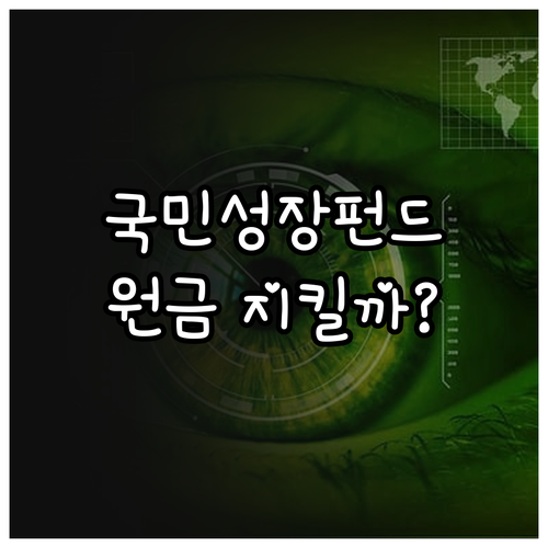 국민성장펀드 가입 전 확인해야 할 투..