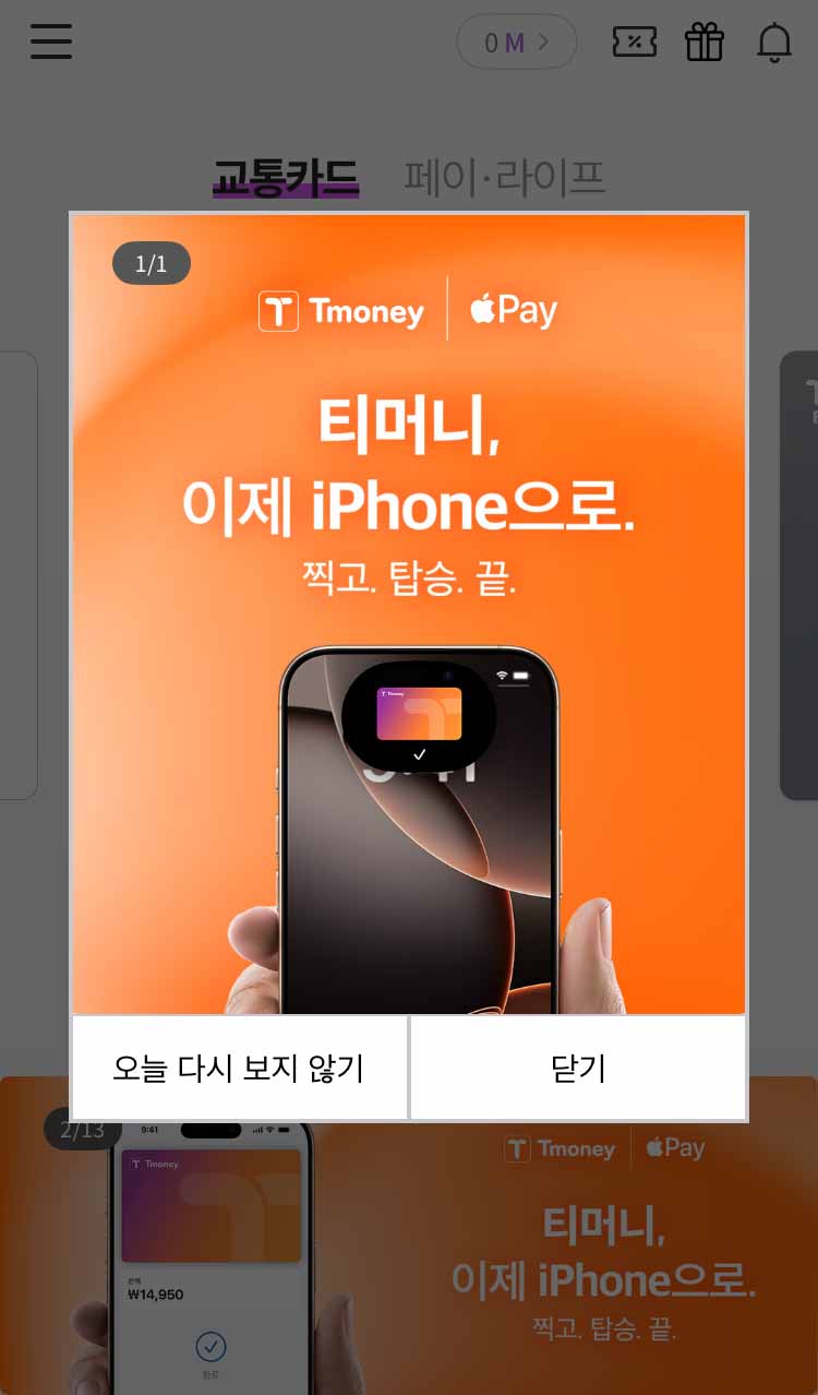 아이폰교통카드지원