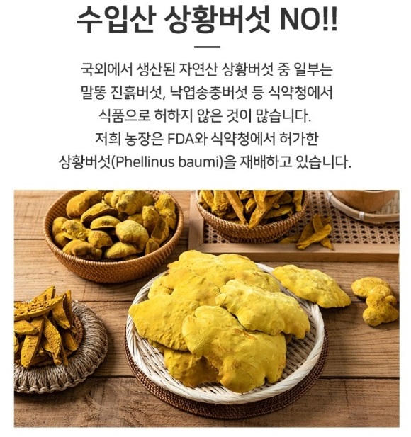 6시내고향-산청-유기농-상황버섯