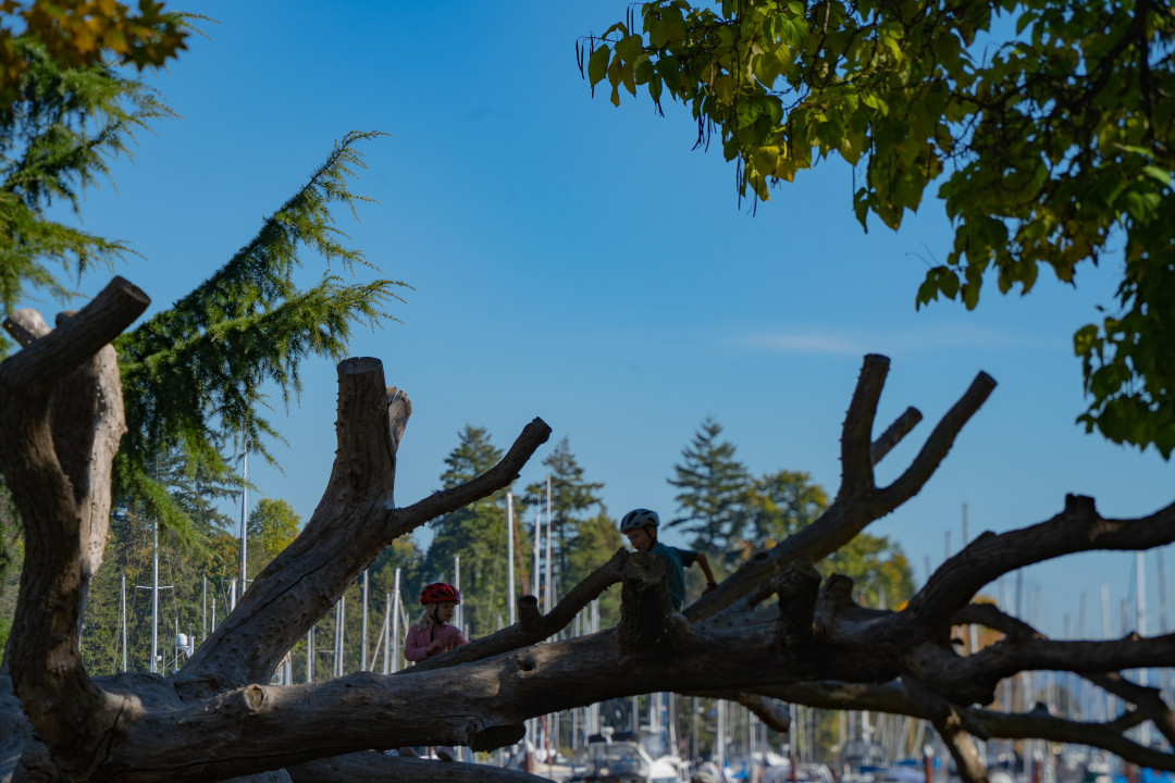 밴쿠버 스탠리 공원 놀이