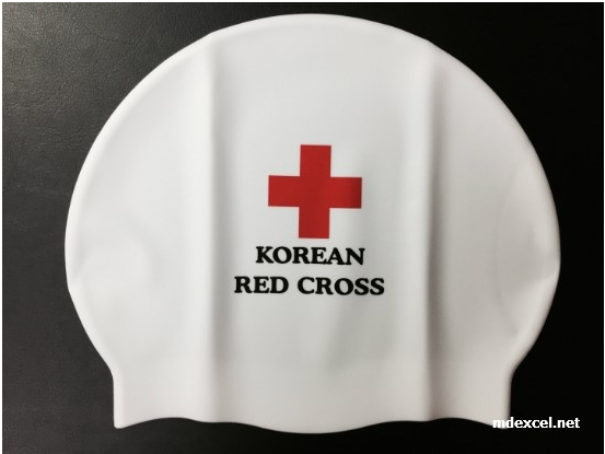 적십자 라이프가드 수모