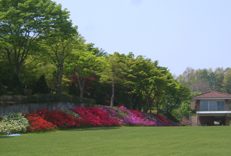 세종 베어트리파크 수목원