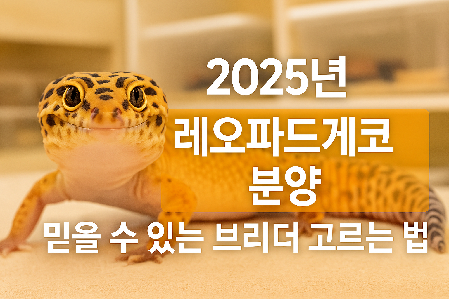 🐆 2025년 레오파드게코 분양, 믿을 수 있는 브리더 고르는 법